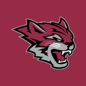 ca logo